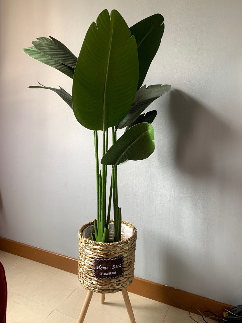 Pokok hiasan rumah, Furniture & Home Living, Home Decor, Artificial
