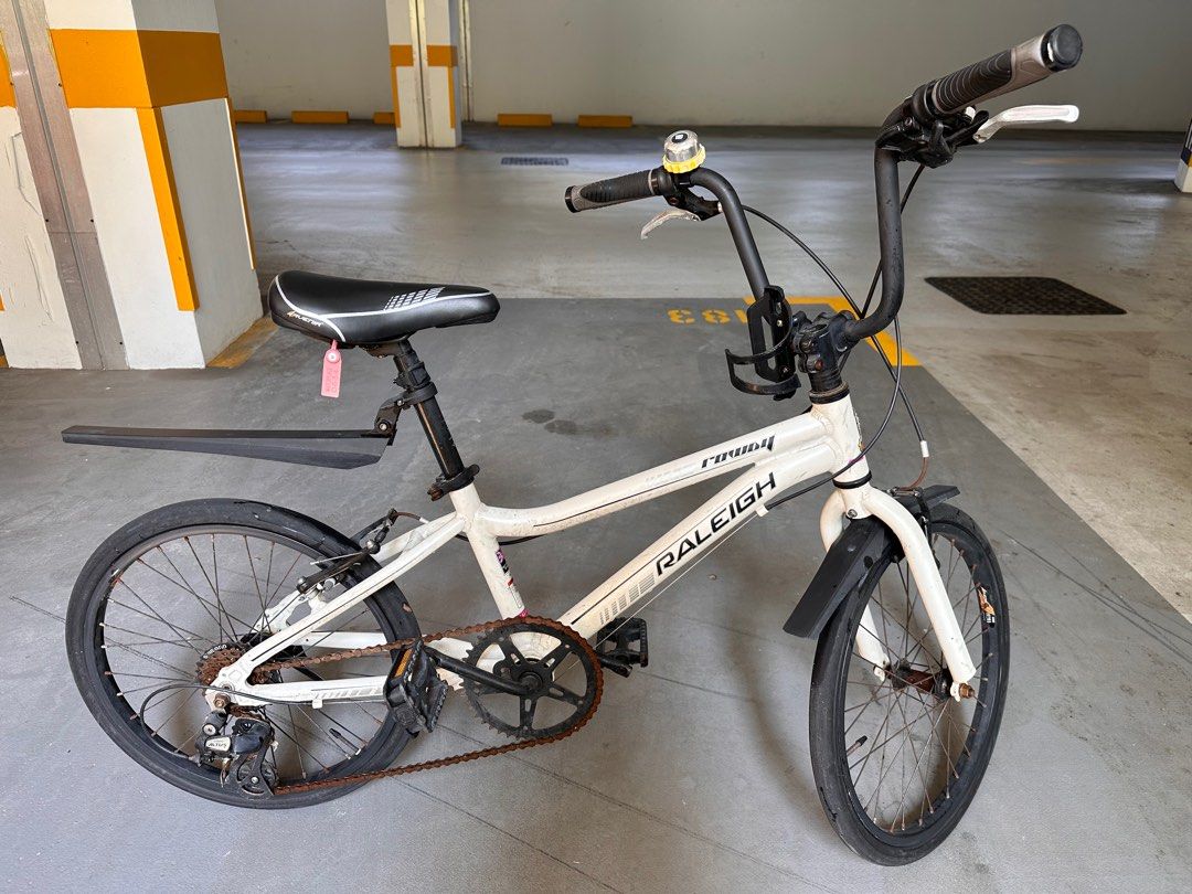 Raleigh rowdy 20 review on sale