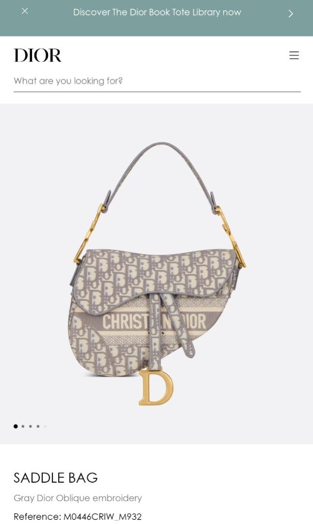 Saddle Bag Gray Dior Oblique embroidery