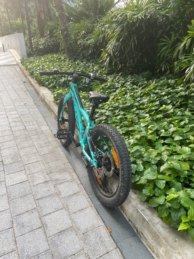 Scott roxter 24 best sale teal blue bike
