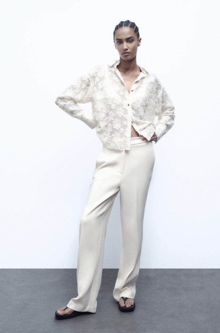 Sheer shirt zara deals