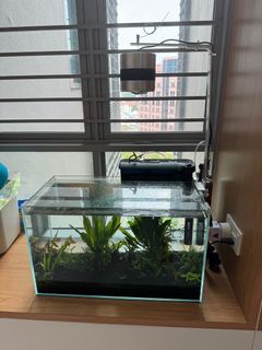 (Category: ) located in . Submitted by visionlee (Listing ID 1260299338, Image 1). Description: .