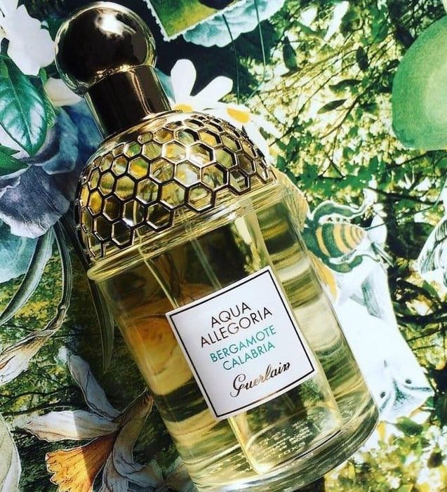 Aqua Allegoria Bergamote Calabria EDT 125ML Beauty Personal