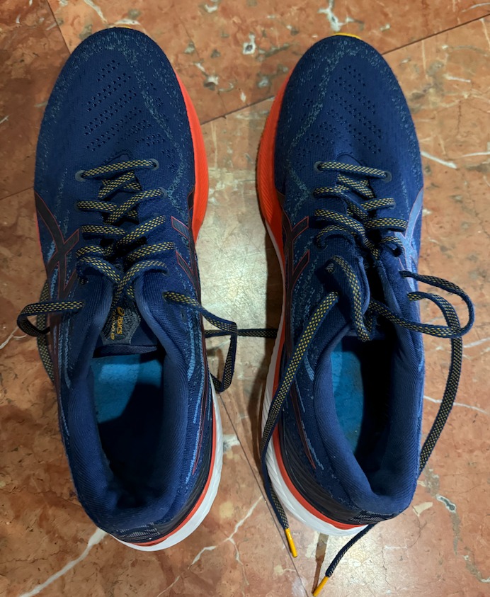 Asics Kayano Men s Running Shoes good for flat feet . Men s