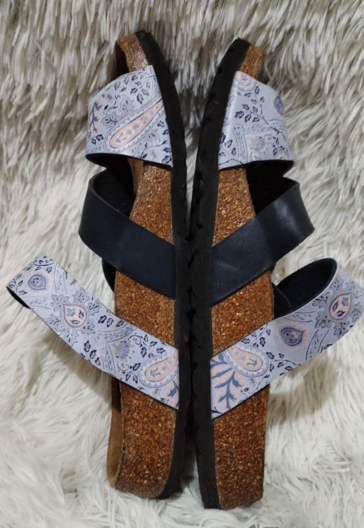 Betula pisa shop