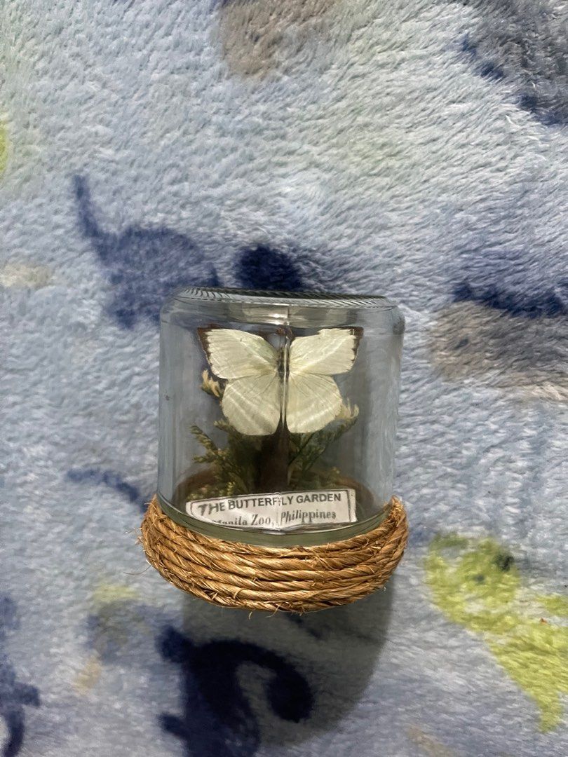 butterfly garden (manila zoo), Hobbies & Toys, Stationary & Craft