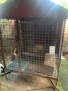 (Category: ) located in . Submitted by wiseley18 (Listing ID 1260410336, Image 1). Description: .