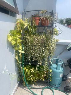 (Category: ) located in . Submitted by sdipti18 (Listing ID 1260354435, Image 1). Description: .