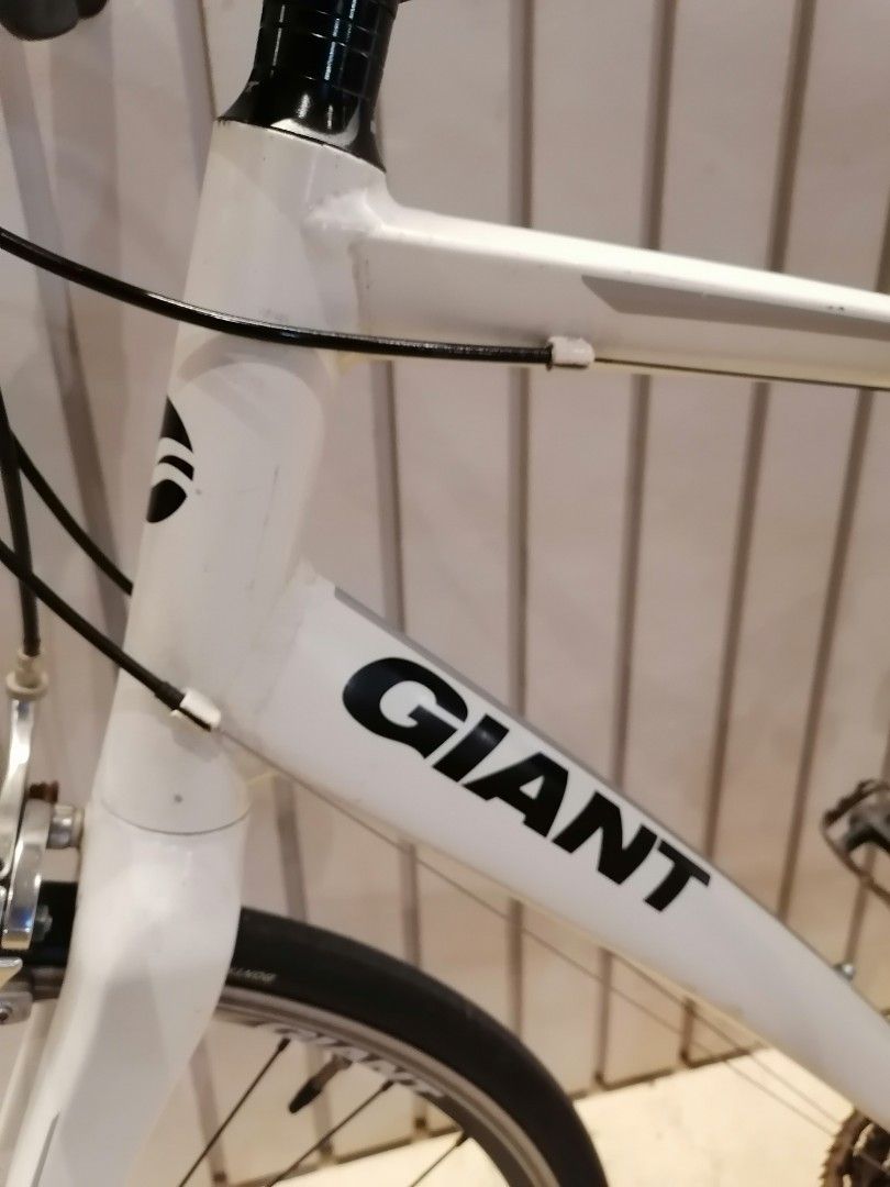 Giant rapid 2 discount 2012