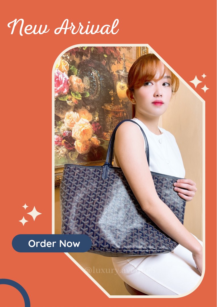 Goyard st Louis PM, Luxury, Bags & Wallets on Carousell