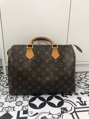 Bag and Purse Organizer with Singular Style for Louis Vuitton Alma Models
