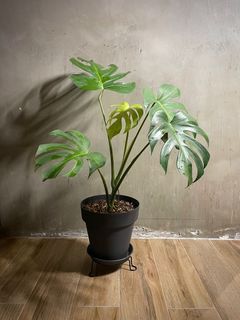 （分類：）位於 。 由 siu.wooo 提交（商品編號 1260433676，圖片 1）。簡介： 。