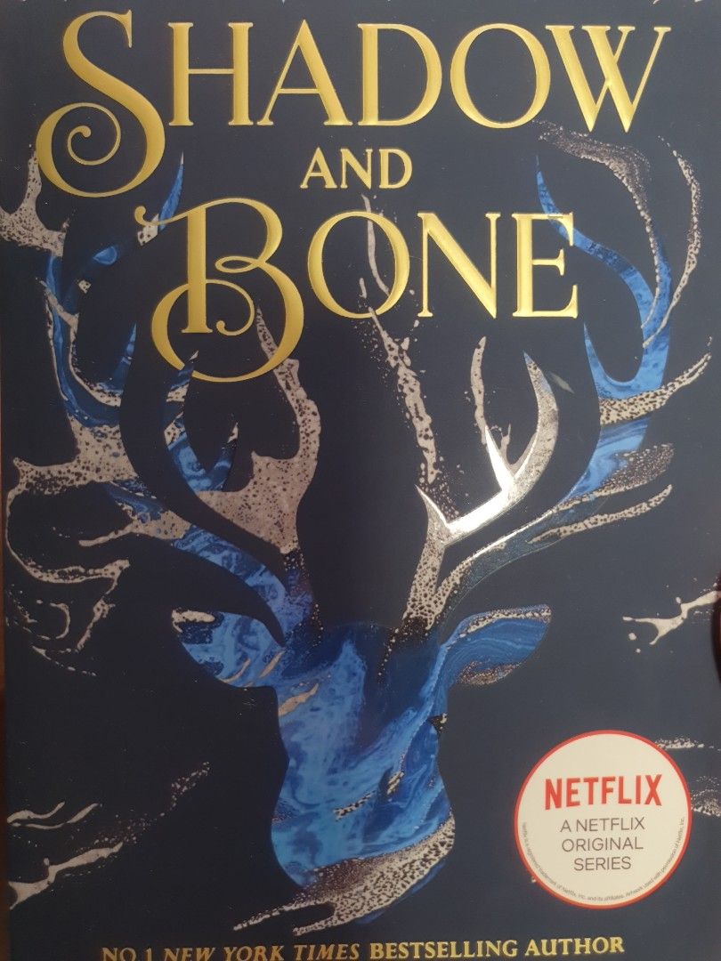 Cover image of Shadow and Bone book by Leigh Bardugo showing contrasting dark and light elements