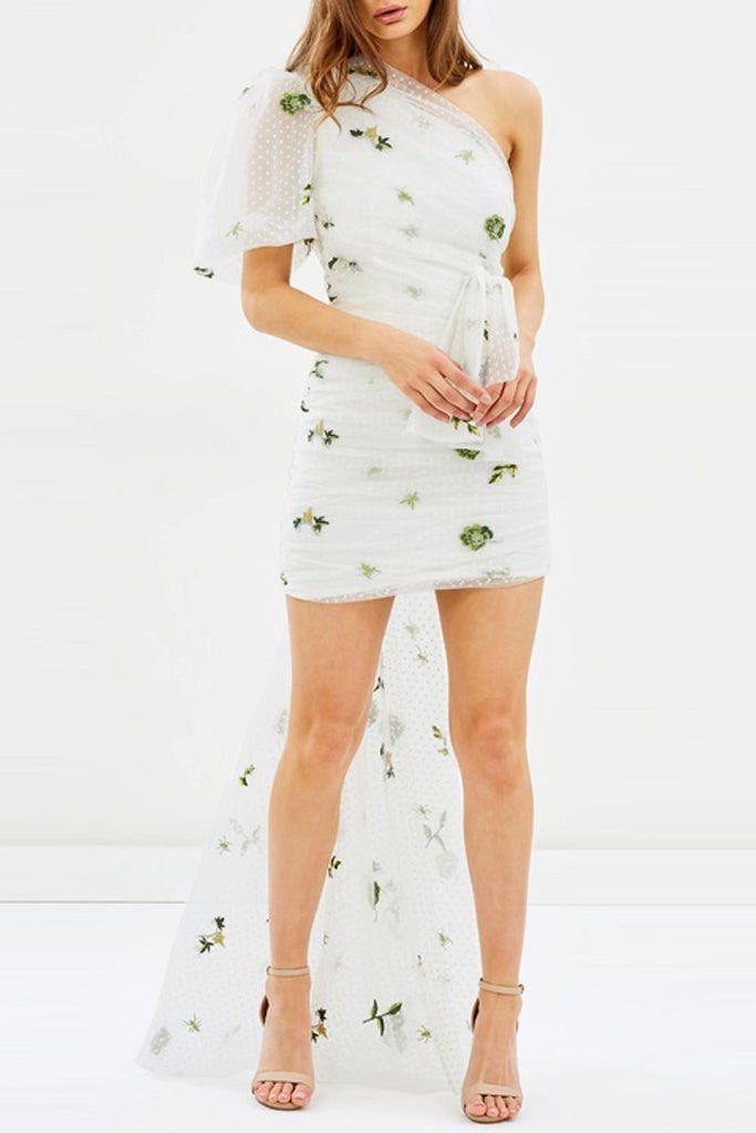 Asilio enchanted garden dress clearance
