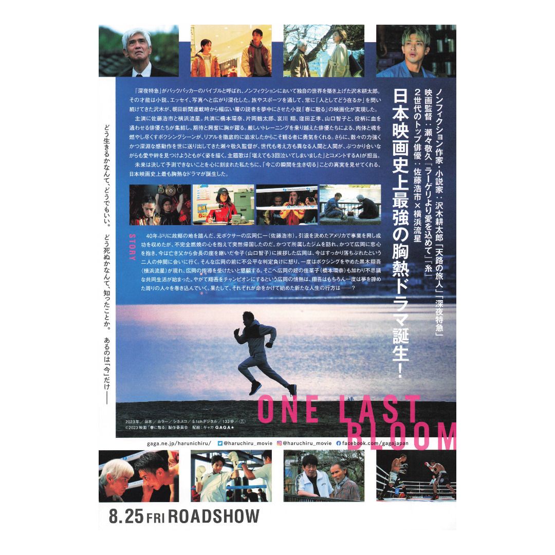 最後的怒放 / 春天飄零 / 春に散る / One Last Bloom (2023) 日本電影 B5 日本電影宣傳單張 DM 小海報 ...