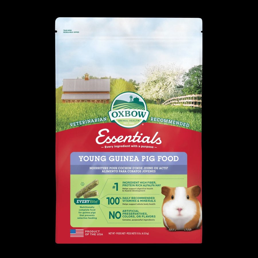 Oxbow ESSENTIALS YOUNG GUINEA PIG FOOD 10lbs Pet Supplies