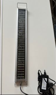 (Category: ) located in . Submitted by gary368 (Listing ID 1260648072, Image 1). Description: .