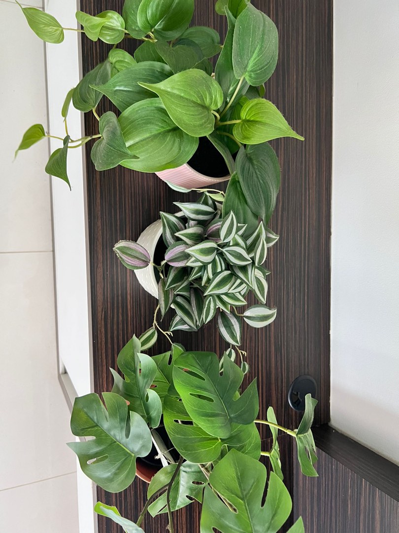 Artificial plants from Ikea 3 sets, Furniture & Home Living
