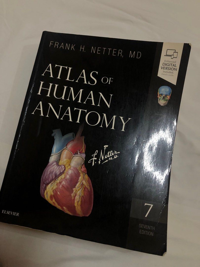 ATLAS OF HUMAN ANATOMY 7TH EDITION BY FRANK H. NETTER,