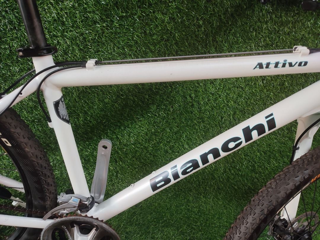 Attivo bicycle price top