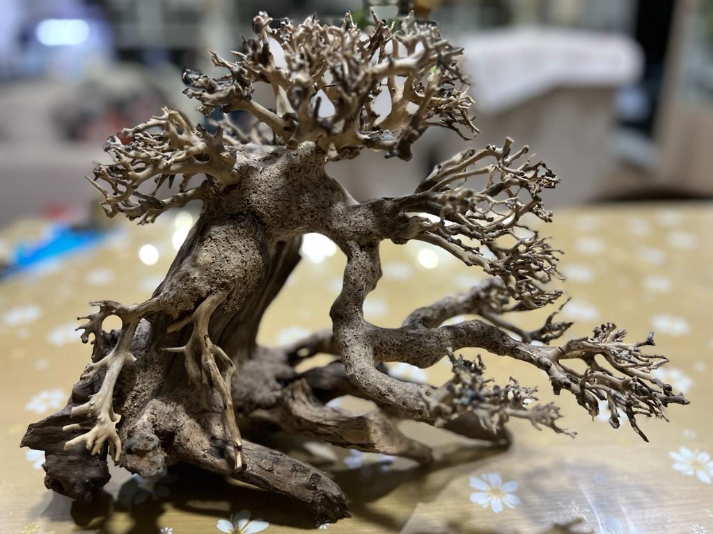 Bonsai tree drift wood for Aquariums, Pet Supplies, Homes & Other Pet
