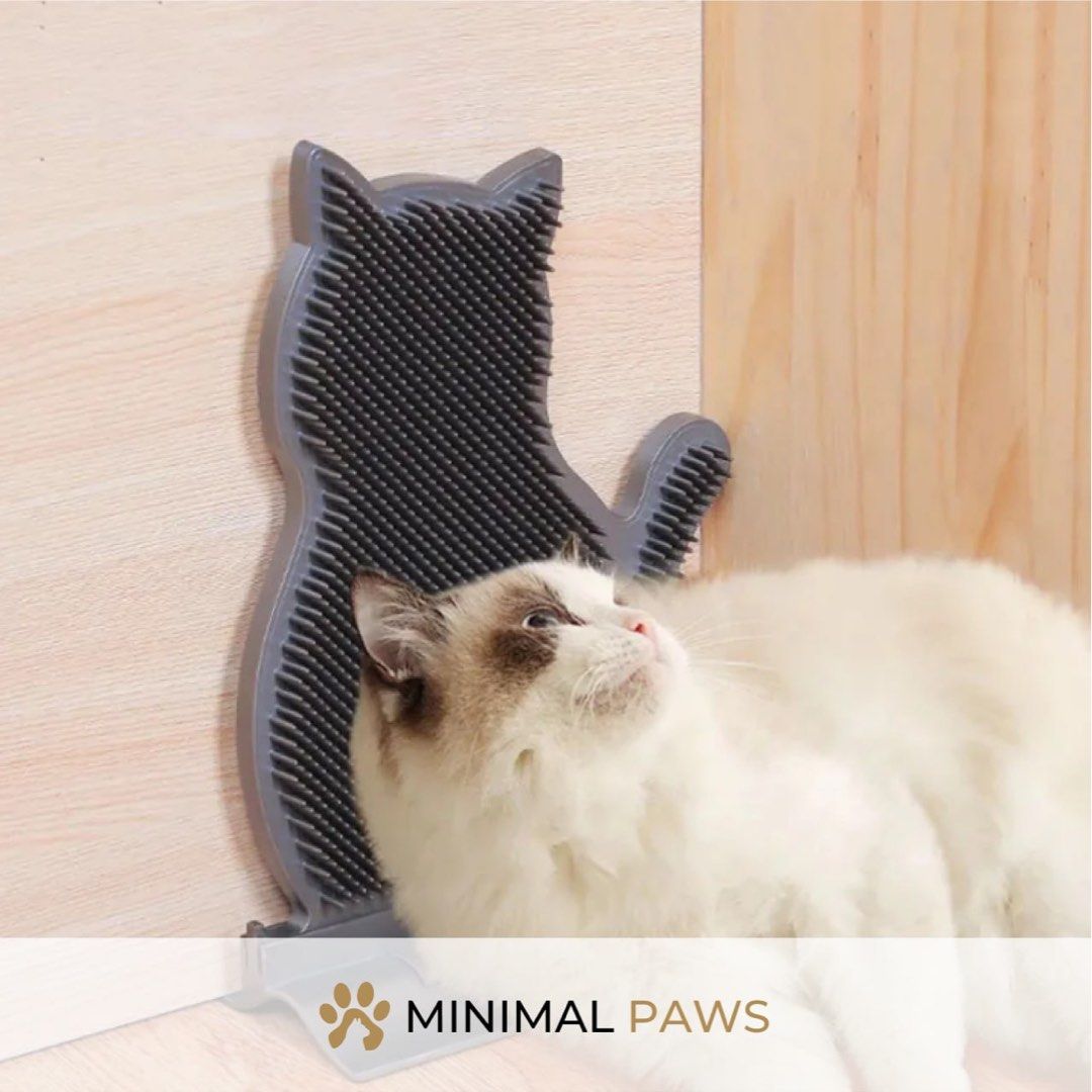 Cat self deals grooming products