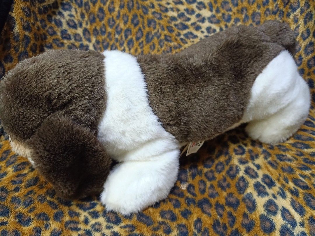 Witziges Gartenschild: Chubby Dachshund – 20,3 X 20,3 Cm, Für Rasen & Blumenbeete