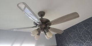 (Category: ) located in . Submitted by chris431315 (Listing ID 1260497409, Image 1). Description: .