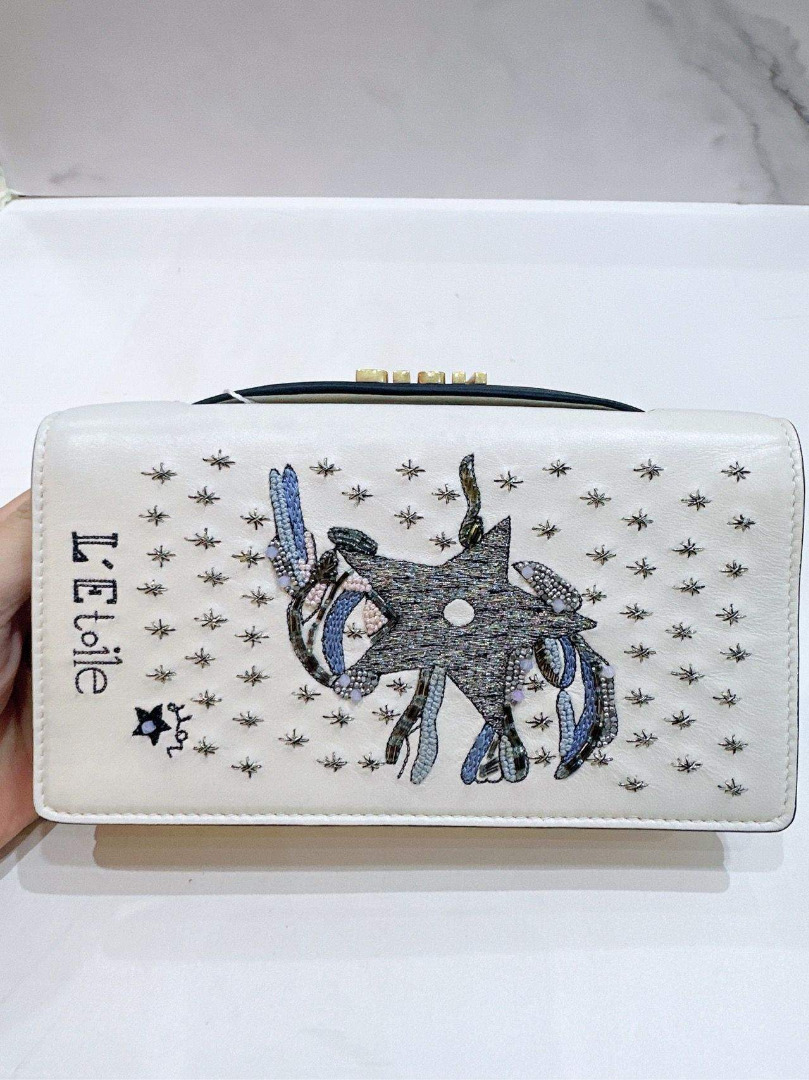 Dior tarot clutch sales