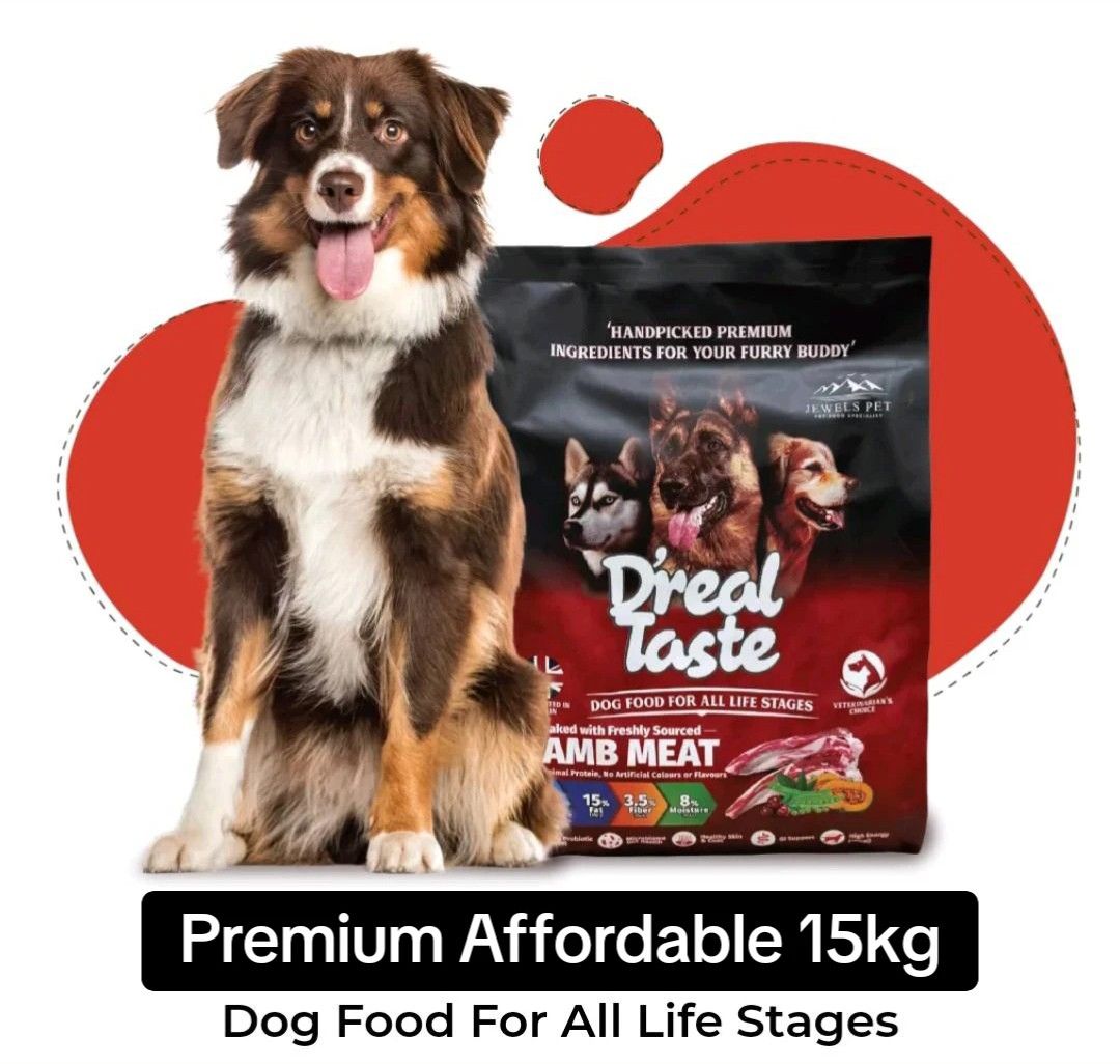 Affordable dry dog online food