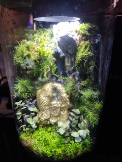 (Category: ) located in . Submitted by premletchumansteve (Listing ID 1260563146, Image 1). Description: .