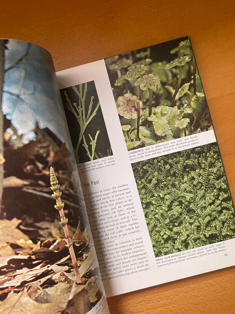 Life Nature Library: The Plants, Hobbies & Toys, Books & Magazines ...