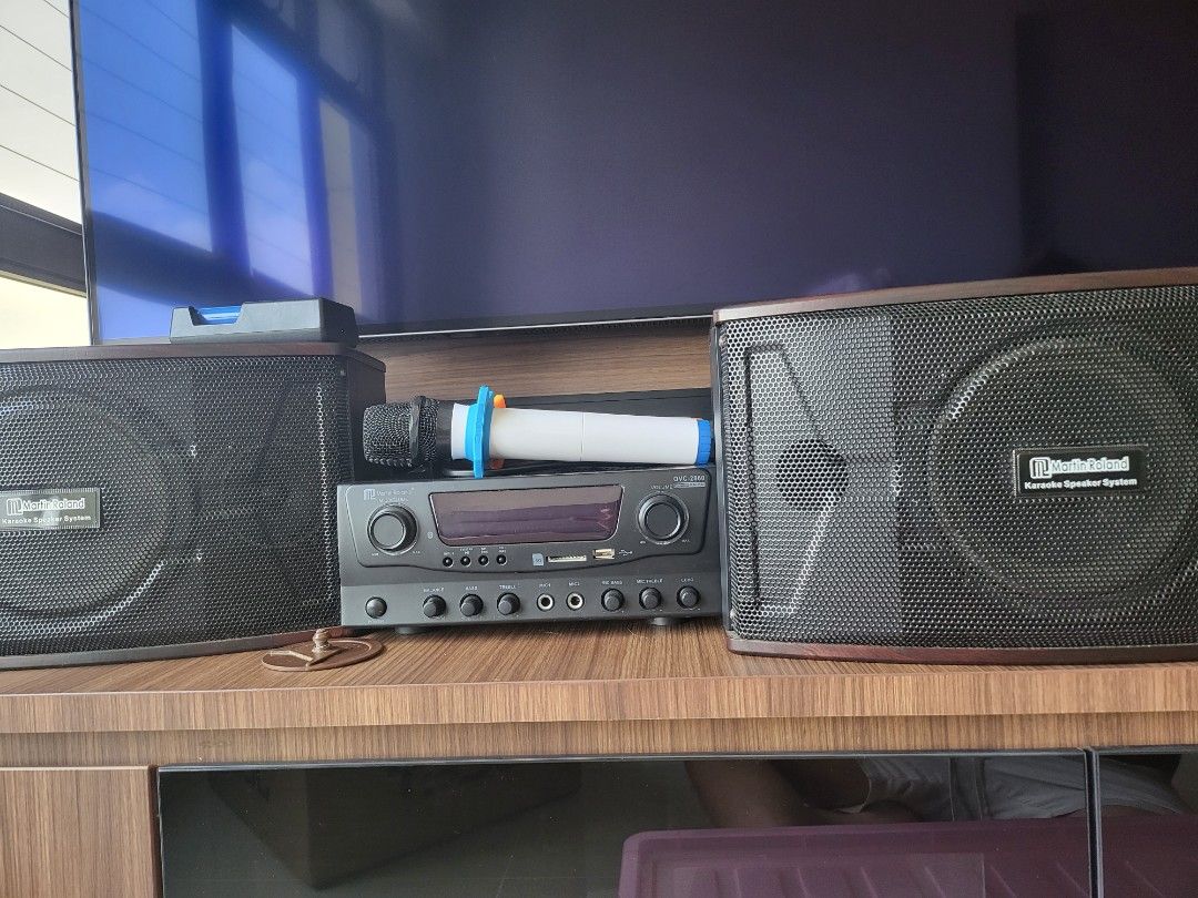 Martin Roland ktv speaker and wireless mic, Audio, Soundbars, Speakers ...