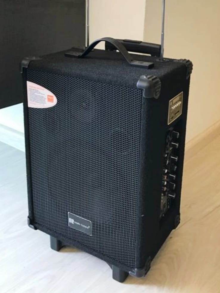 Martin roland portable speaker online