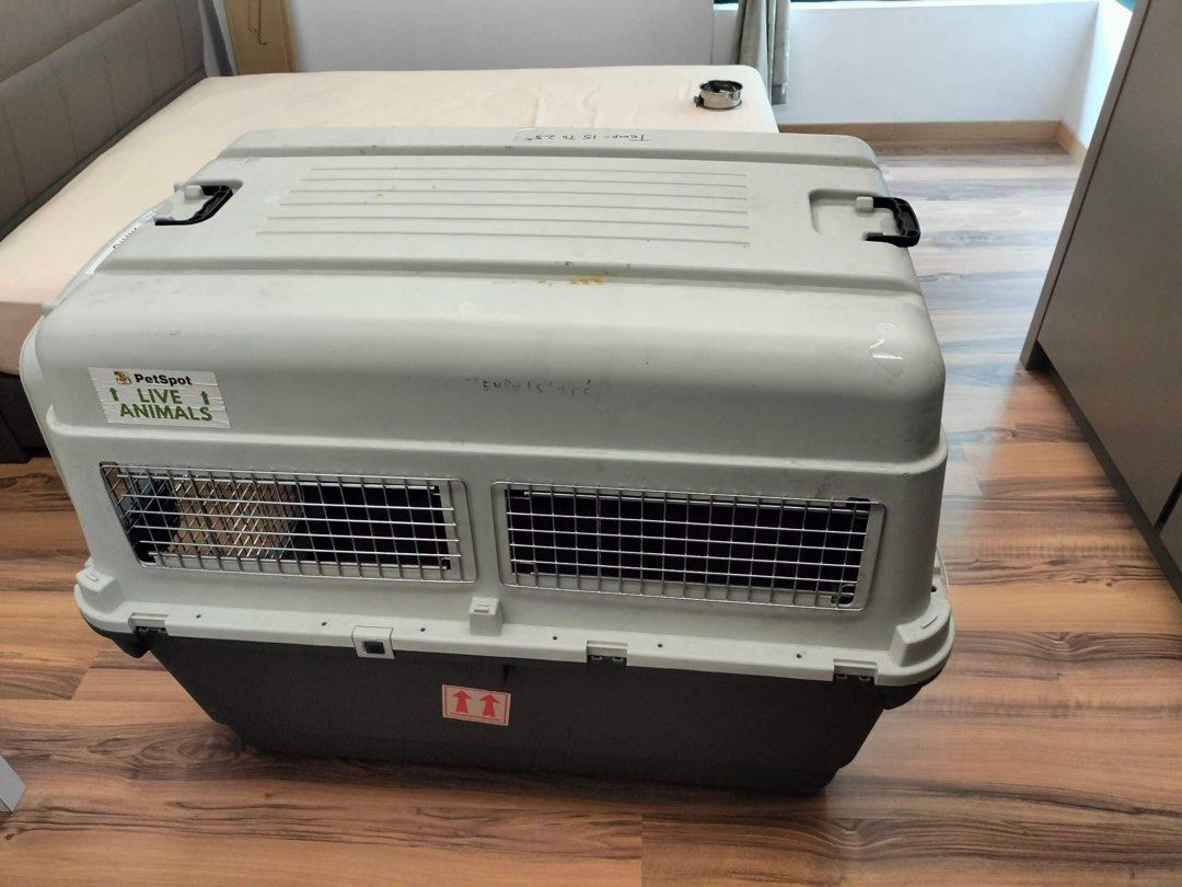 Pet Carrier Crate, Pet Supplies, Homes & Other Pet Accessories on Carousell