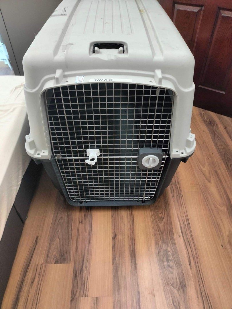 Pet Carrier Crate, Pet Supplies, Homes & Other Pet Accessories on Carousell
