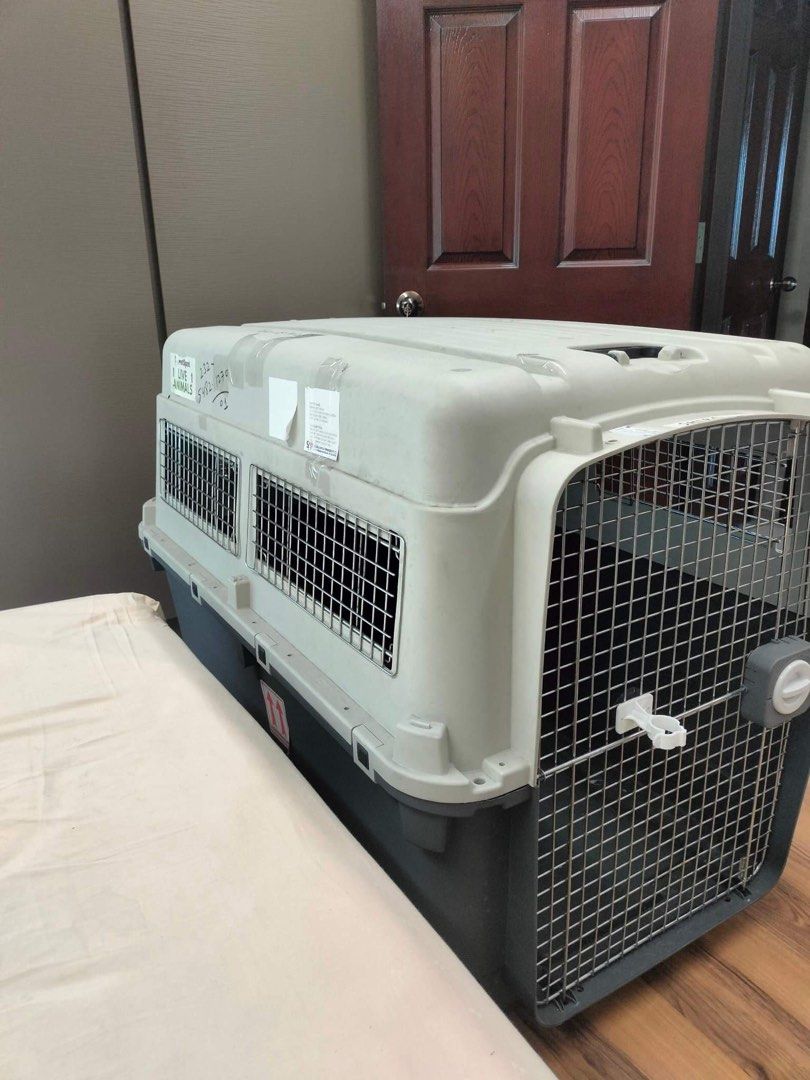 Pet Carrier Crate, Pet Supplies, Homes & Other Pet Accessories on Carousell