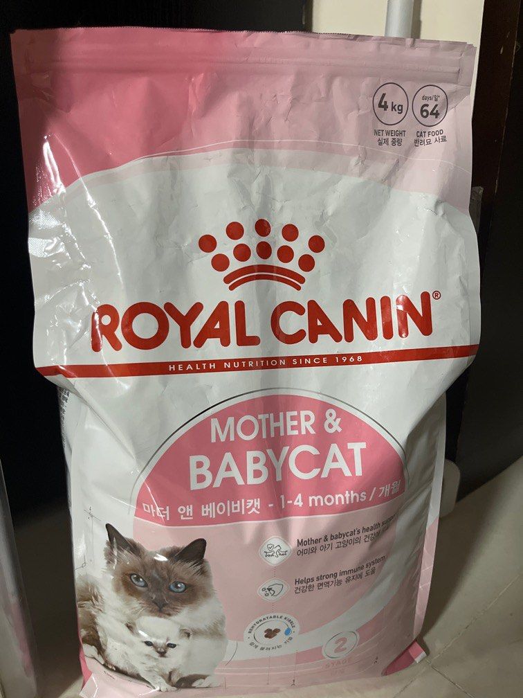 Babycat 34 shop