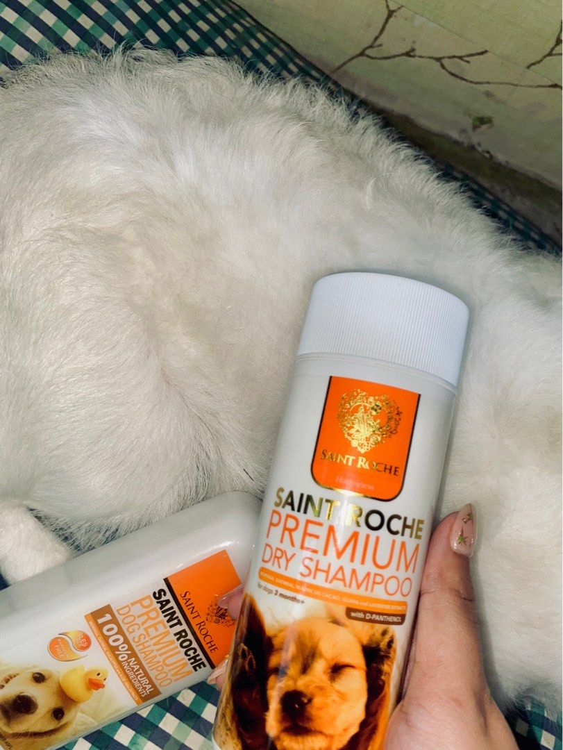 Saint roche dry store shampoo
