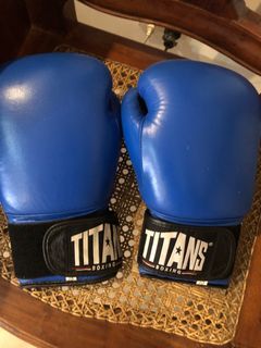 Titans Boxing Gloves