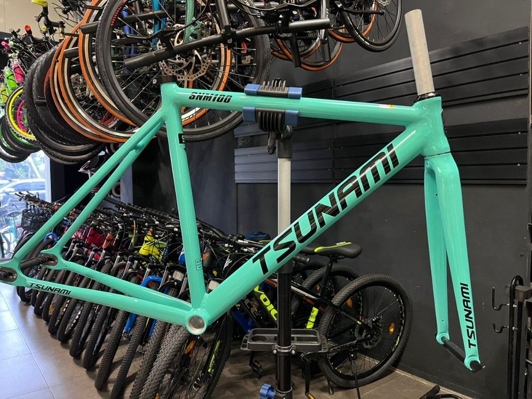 Fixie sales alloy frame