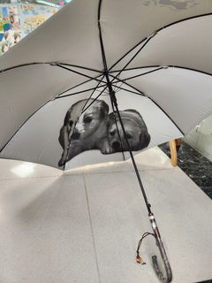Umbrella Japan$169