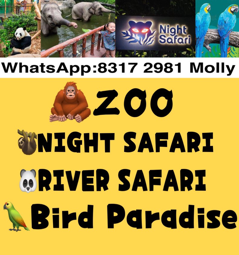 ZOO NIGHT SAFARI RIVER SAFARI Bird Paradise , Tickets & Vouchers, Local