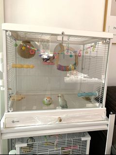 (Category: ) located in . Submitted by birdheaven (Listing ID 1260699697, Image 1). Description: .