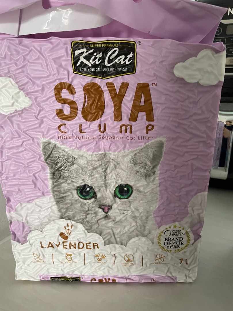 Cat litter, Pet Supplies, Homes & Other Pet Accessories on Carousell