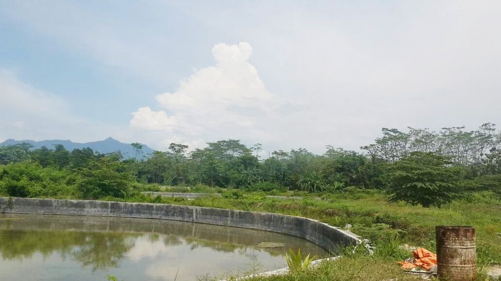 dijual_tanah_kavling_tambak_4__1697611809_4e39eb1f_progressive