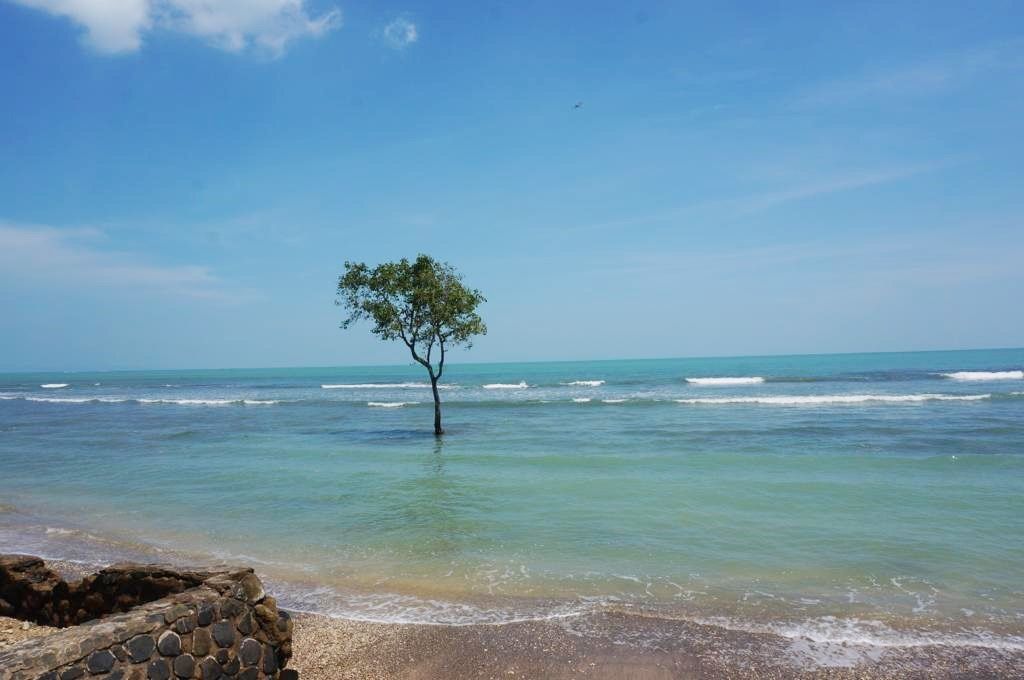 dijual_tanah_kavling_tambak_4__1697611809_dfb2b74e_progressive