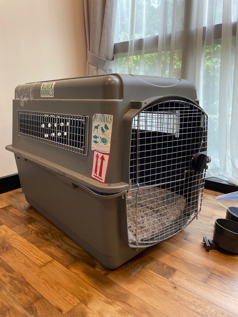 Dog crate_ airline approved pet carrier, Pet Supplies, Homes & Other