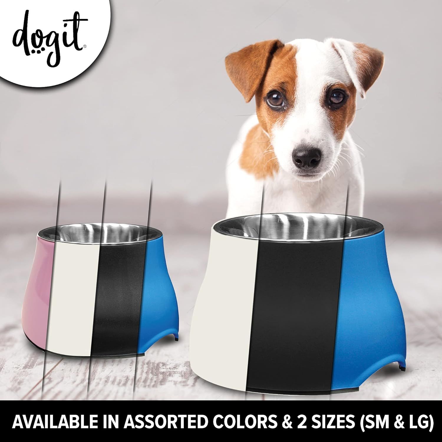 Elevated water sales bowl for dogs