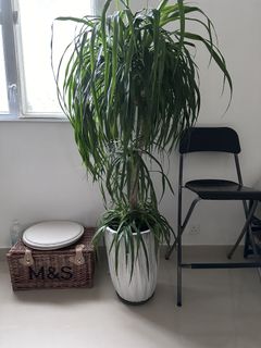 （分類：）位於 。 由 brollomatic 提交（商品編號 1260693064，圖片 1）。簡介： 。